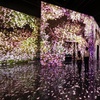 Image 3: Immerse Yourself in a Mesmerizing Fusion of Art, Sound, and Fragrance at ARTE MUSEUM 