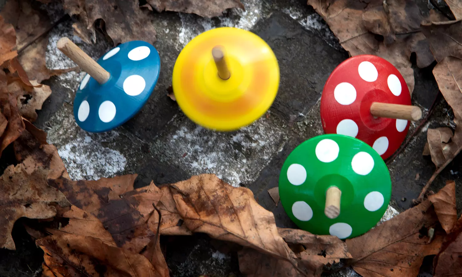 Foto-Workshop & Photowalk Outdoor