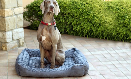 Cuccia per animali domestici disponibile in 3 misure o 1 cuscinone invernale Zoe