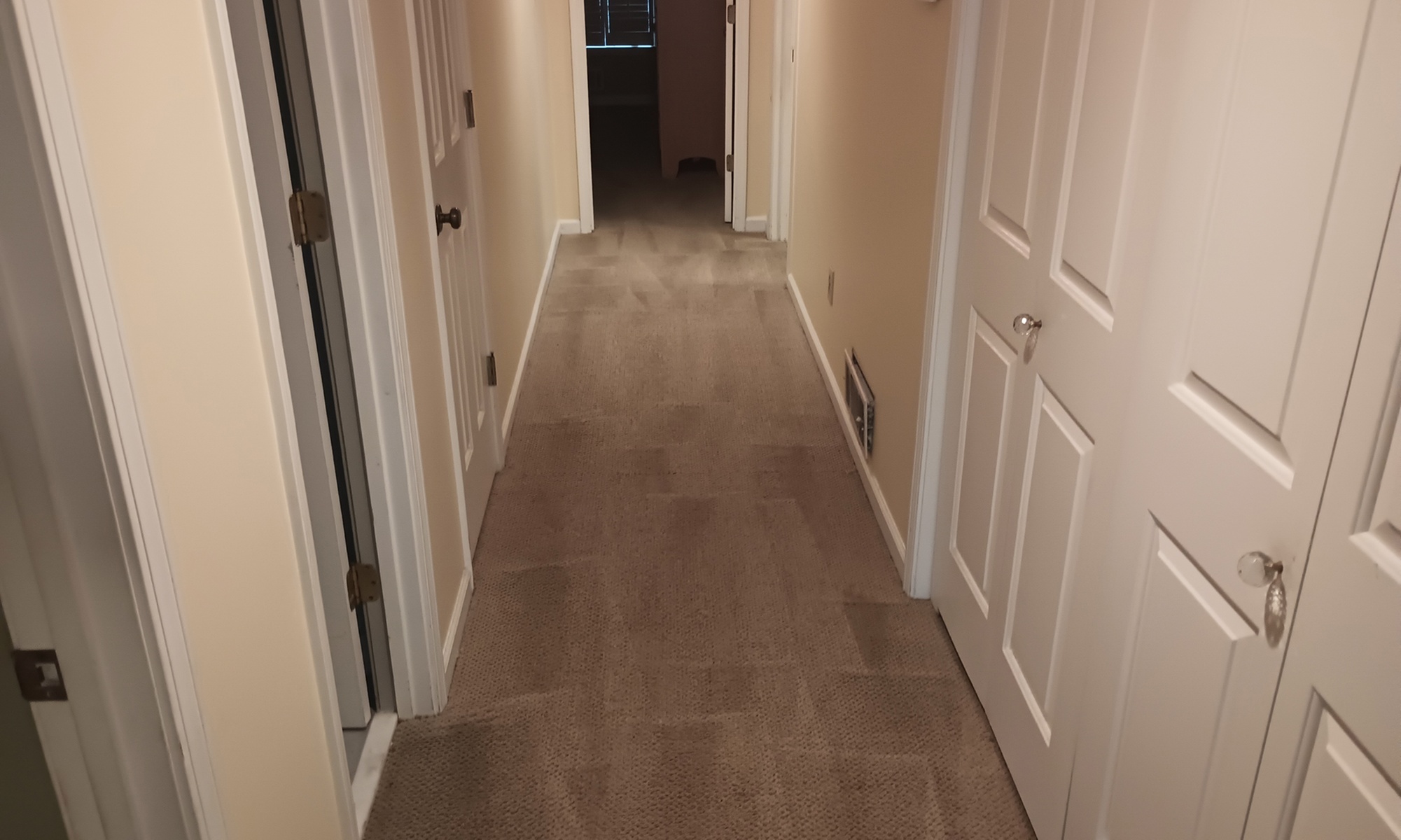 Deep Carpet Cleaning With Eco-Friendly, Quick-Drying Solutions