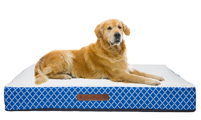 Wags and Whiskers Orthopedic Pet and Dog Bed | Groupon