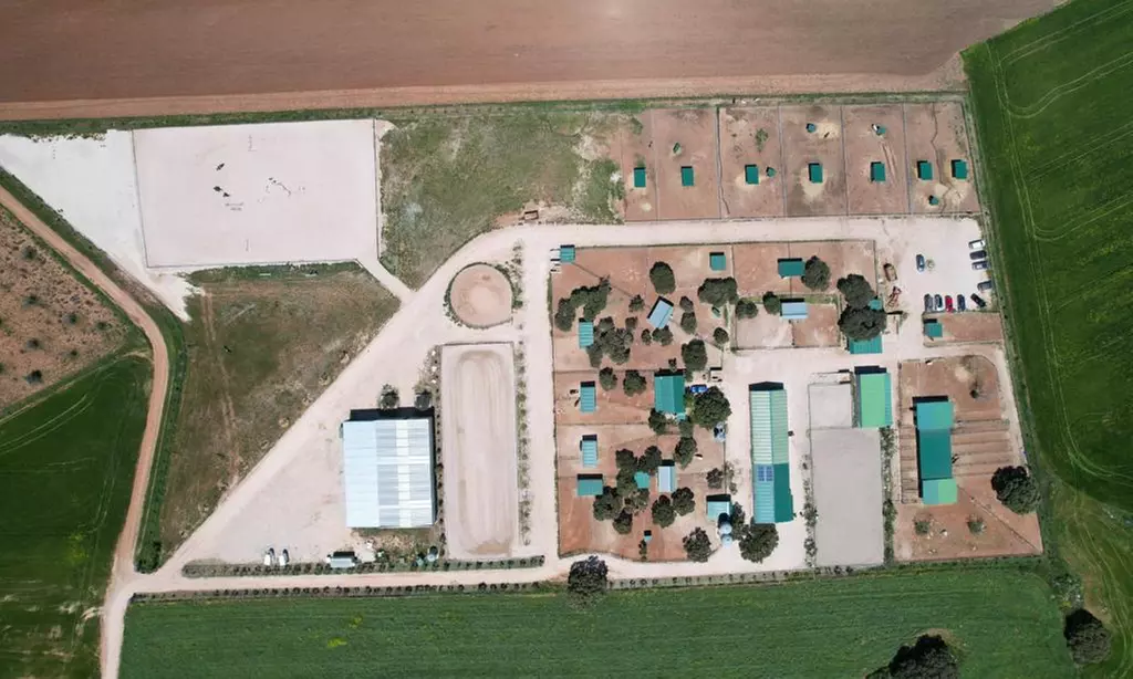 Ruta de 1 hora a caballo para hasta 4 personas con opción a iniciación