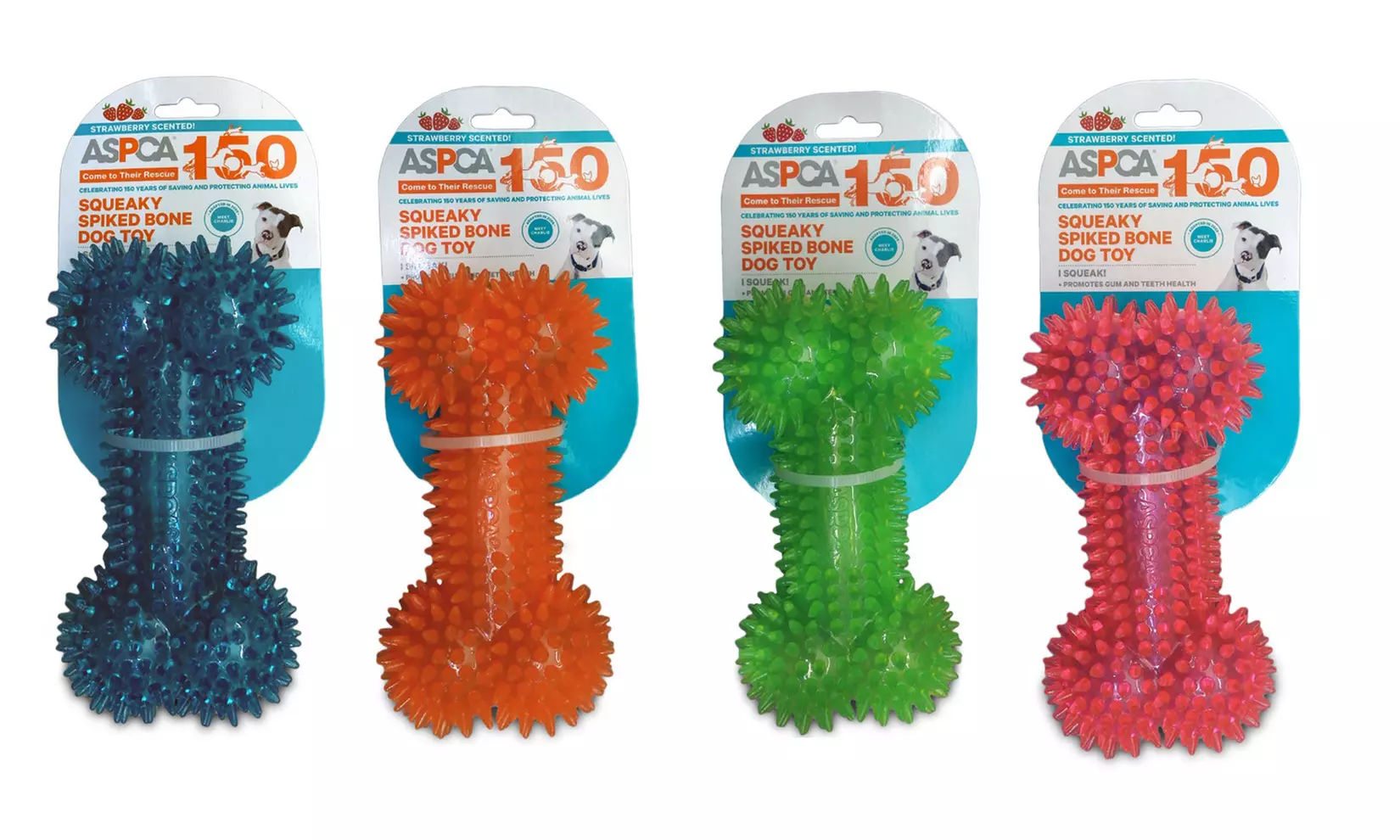 ASPCA Scented TPR Squeaky Spiked Bone Dog Toys (4-Pack) - Primary Image