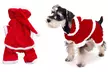 Vêtements de Père Noël pour chien de petite taille - Second Medium