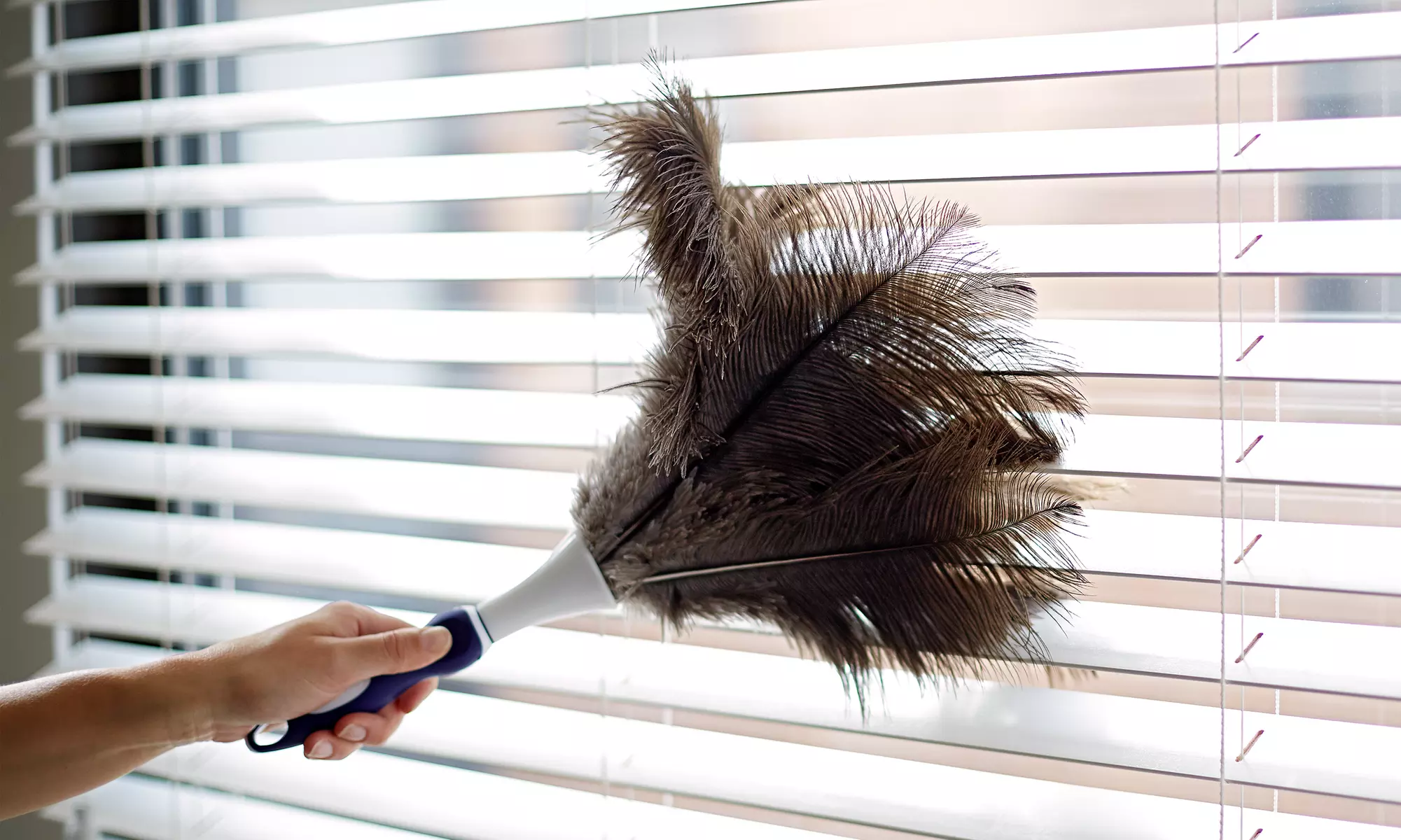 $160 for Six Hours of Cleaning Services ($400 Value) — apaariciocleaningservice - Primary Image