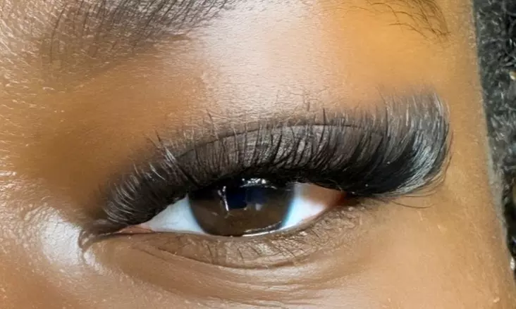 Lash Perfection