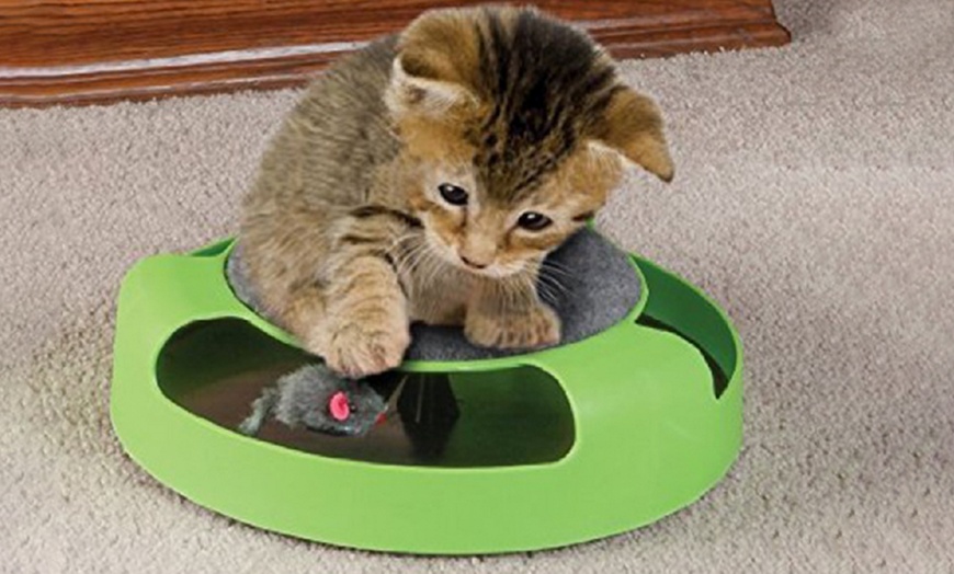 jeu pour chat amazon