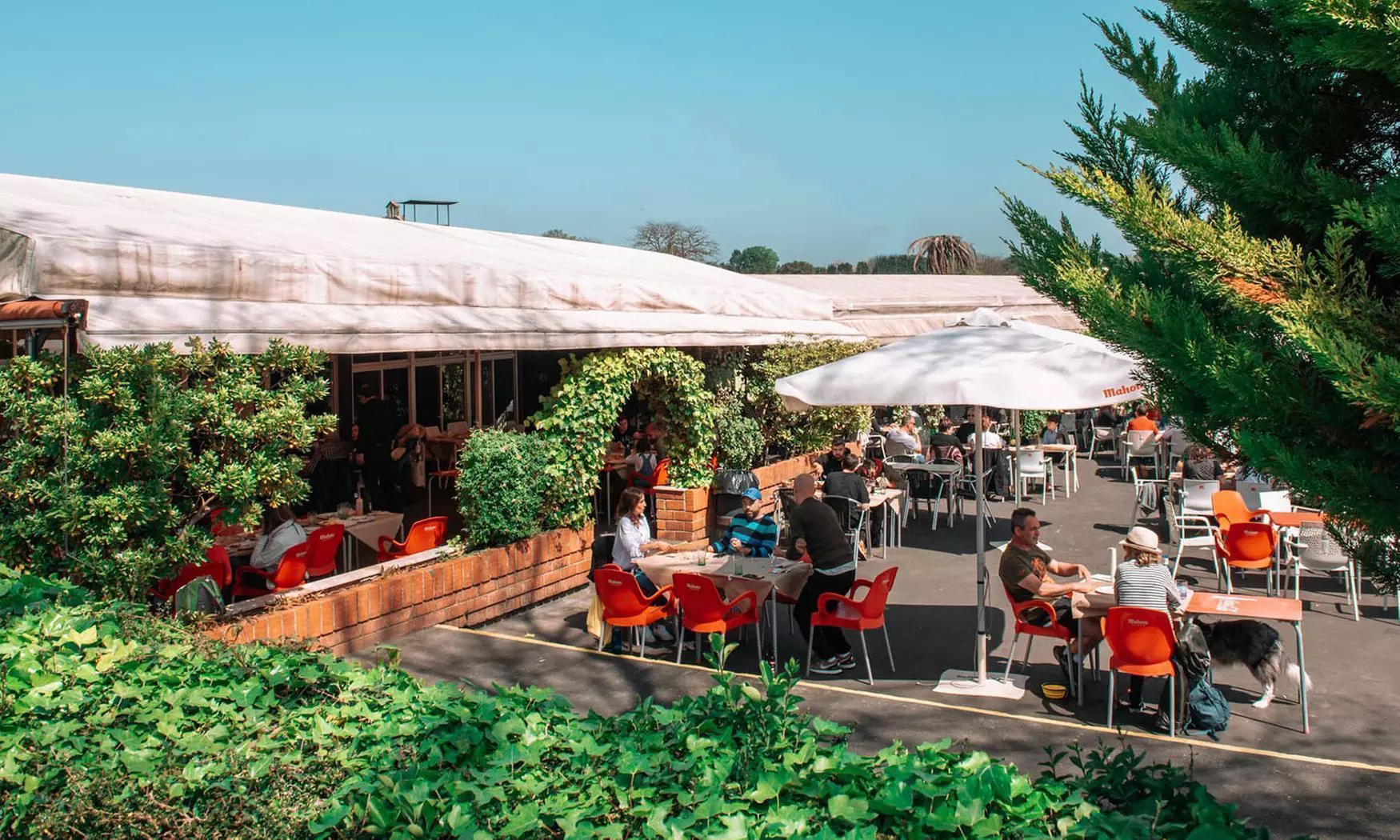 Menú especial para 2: Cachopos o arroz de marisco con entrantes