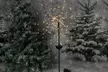 Touch Of ECO Solar LED Twinkle-Lite Garden Stake Light (1-, 2- , or 3-Pack) - Second Medium