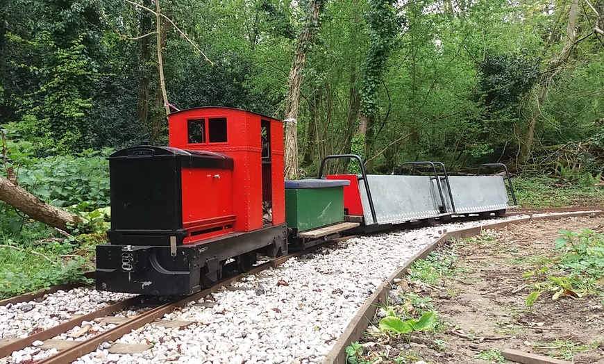 Image 6: Train Ride and Afternoon Tea