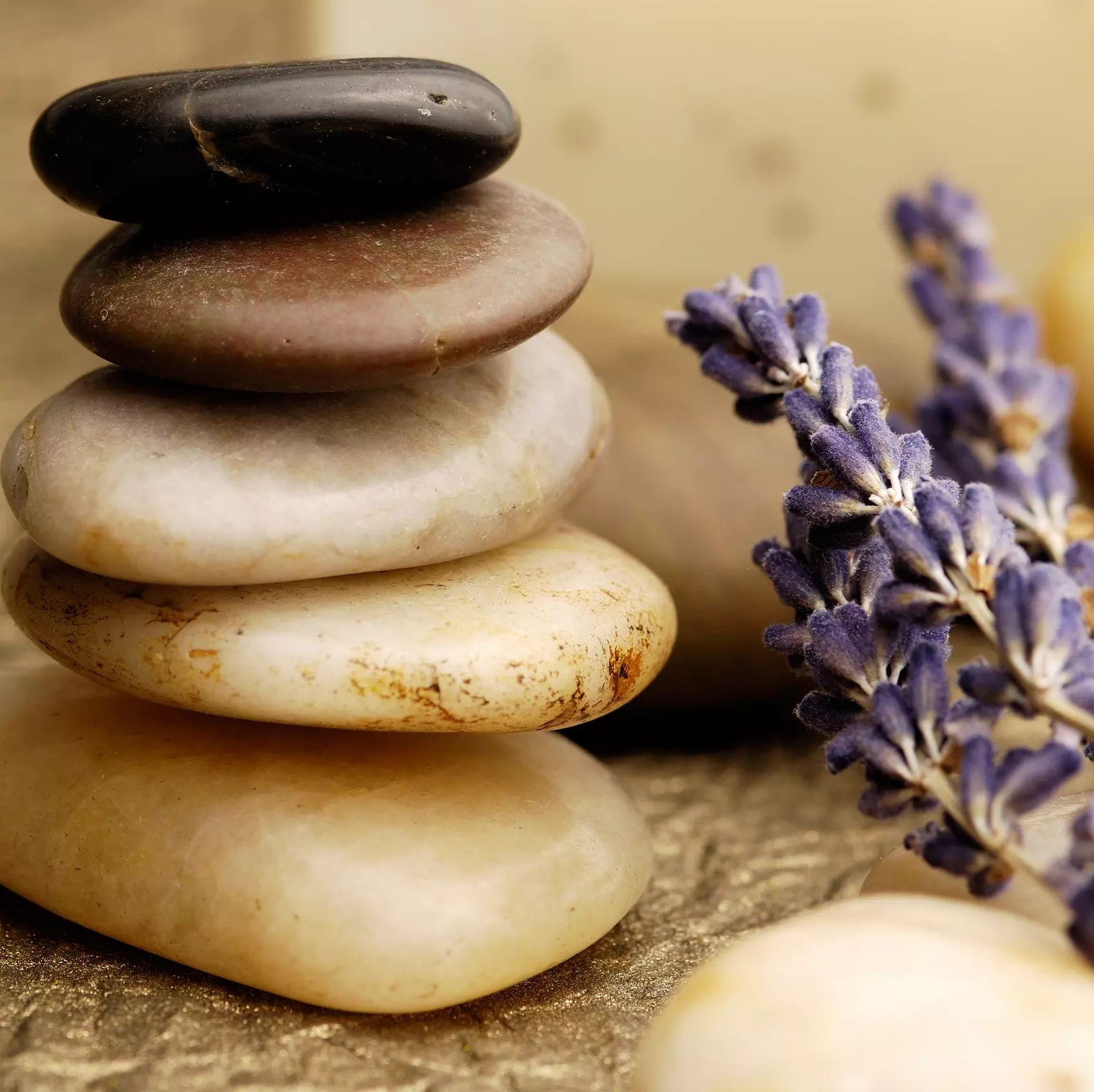 Our Signature Calm: Choice of Hot Stone, Deep Tissue and Relaxing