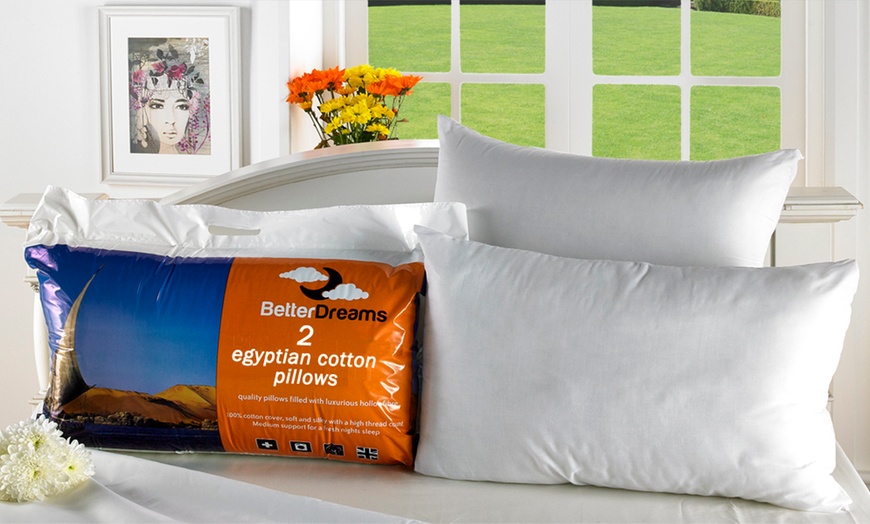 Image 4: Egyptian Cotton Pillows