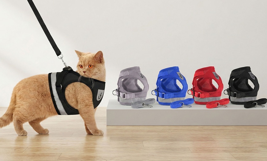 Image 1: No-Pull Hand Strap Dog Cat Vest With Dog Leash Pet Collar Adjustable Harness