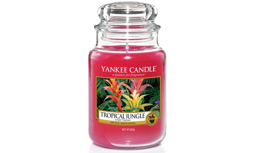 Image 8: Yankee Candle Large Jar