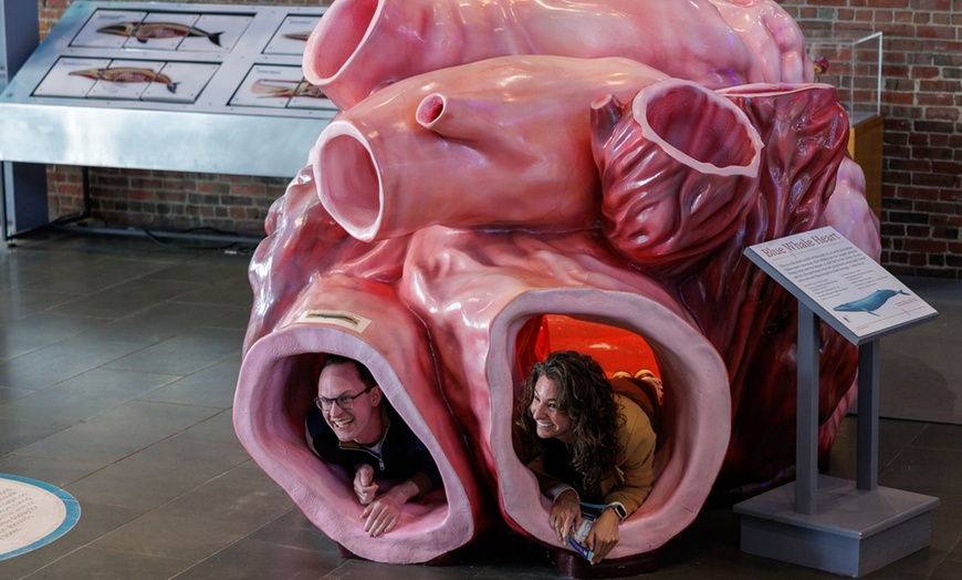 Image 6: New Bedford Whaling Museum Admission