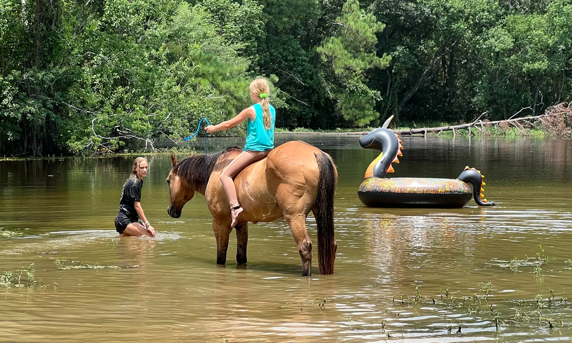 Dive Into Fun: Youth Summer Hearts and Hoofs Horse Camp Registration