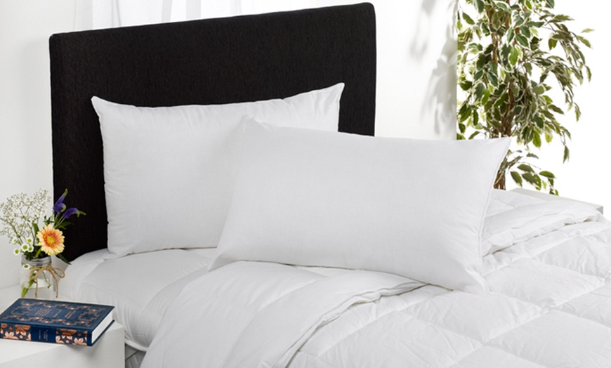 Downland bedding company outlet pillows