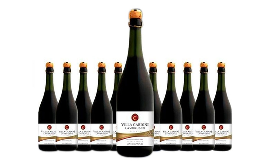 Image 1: Bouteilles de vin Lambrusco Rosso