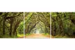 Photography Print Gallery-Wrapped Canvas Triptych  - Second Medium
