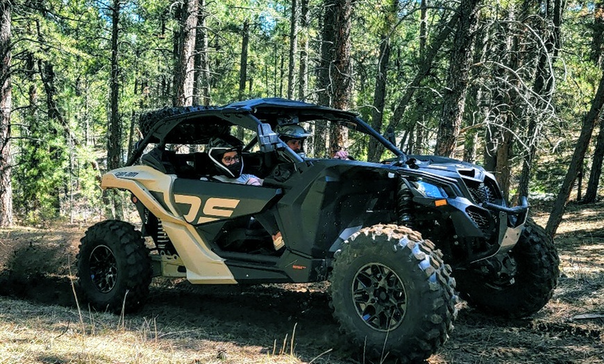 Image 2: Experience Thrilling 3 or 6-Hour UTV Ride with 2 Seater or 4 Seater