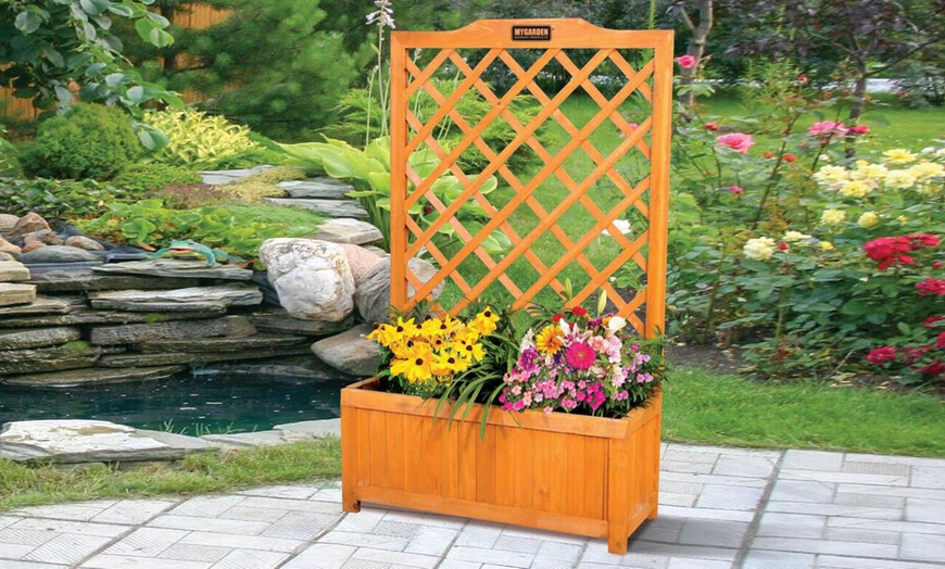 Image 1: Large Rectangular Planter with Trellis Support With Free Delivery