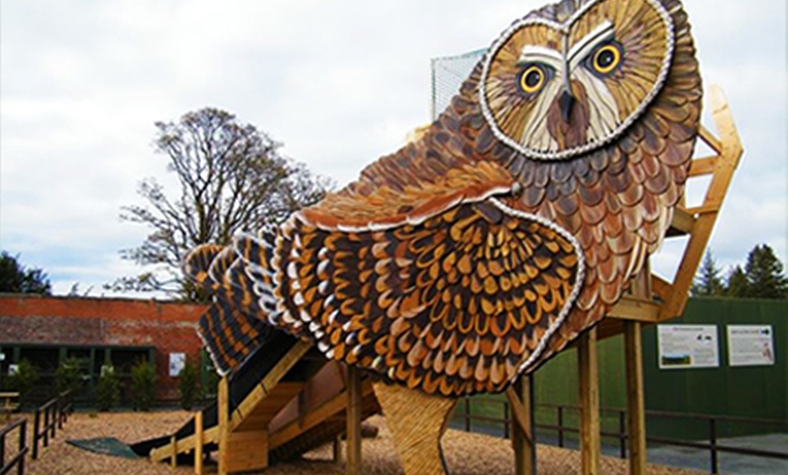 Image 4: Scottish Owl Centre Entry For Two