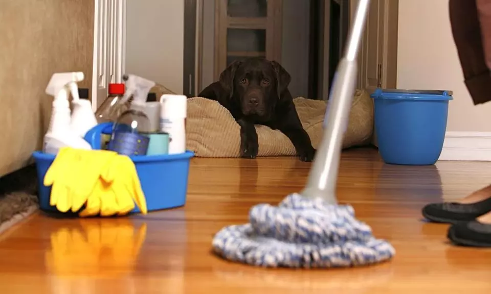 Up to 3,000, 3,500-5,000, or 6,000-8,000 Square Feet of House Cleaning from Jordan and Tanner Residential Cleaning - Primary Image