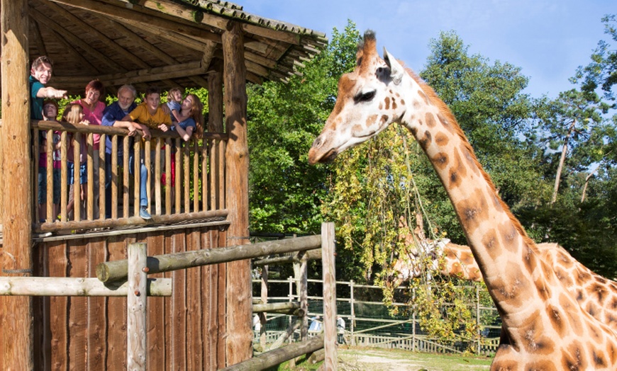 Image 2: Billet d’entrée pour le d'attractions à Bellewaerde Park