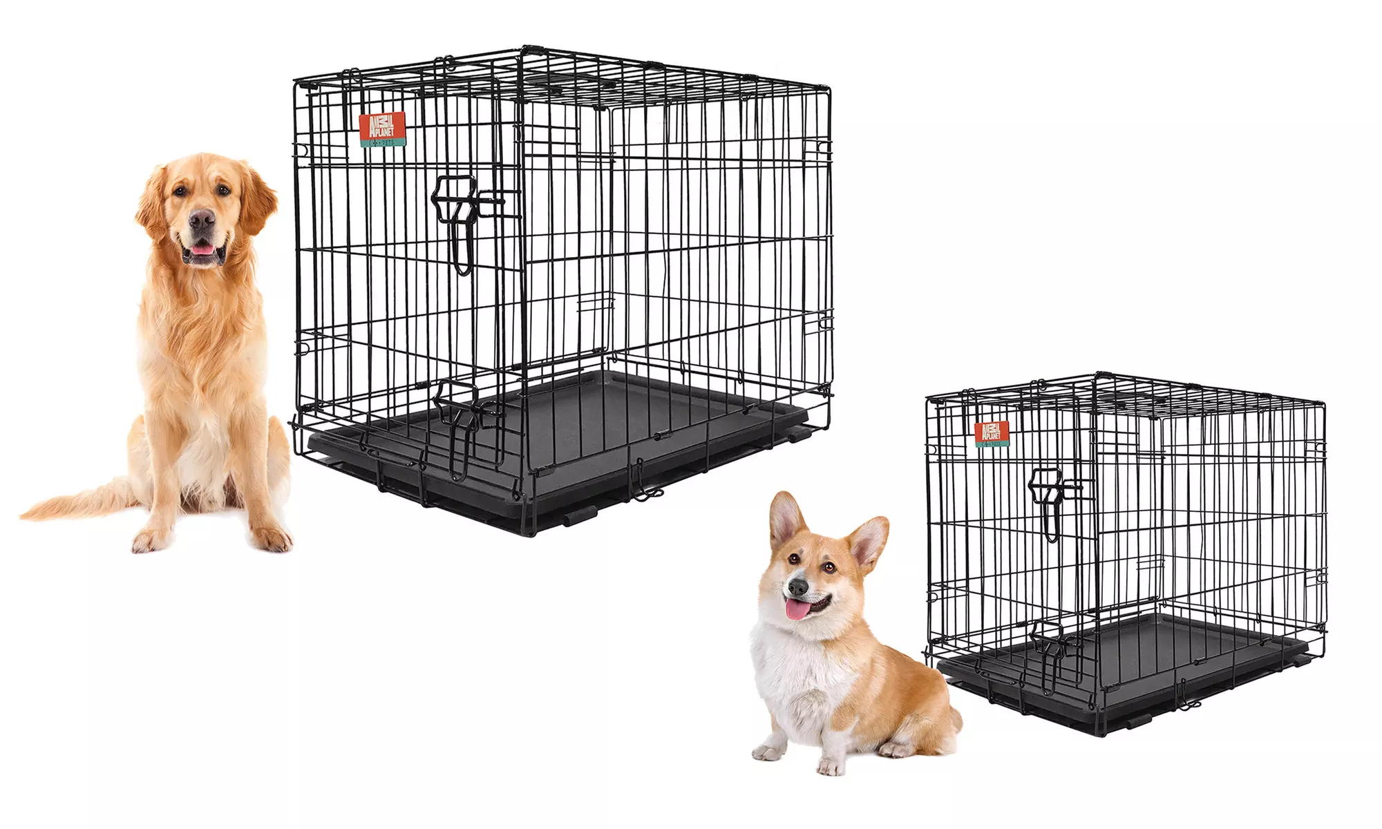 Animal Planet Collapsible Pet Crate with Removable Tray - Primary Image