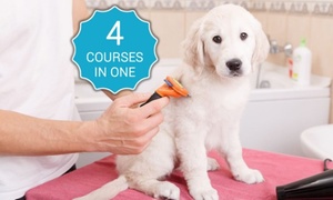 Pet Care Online Course Bundle from New Skills Academy