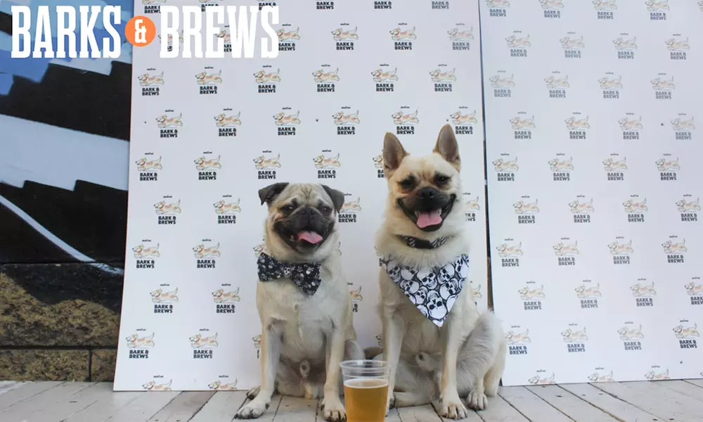 $34 for VIP Admission to Barks & Brews Beer Festival on June 16 at 12 p.m. ($50.77 Value)  - Primary Image