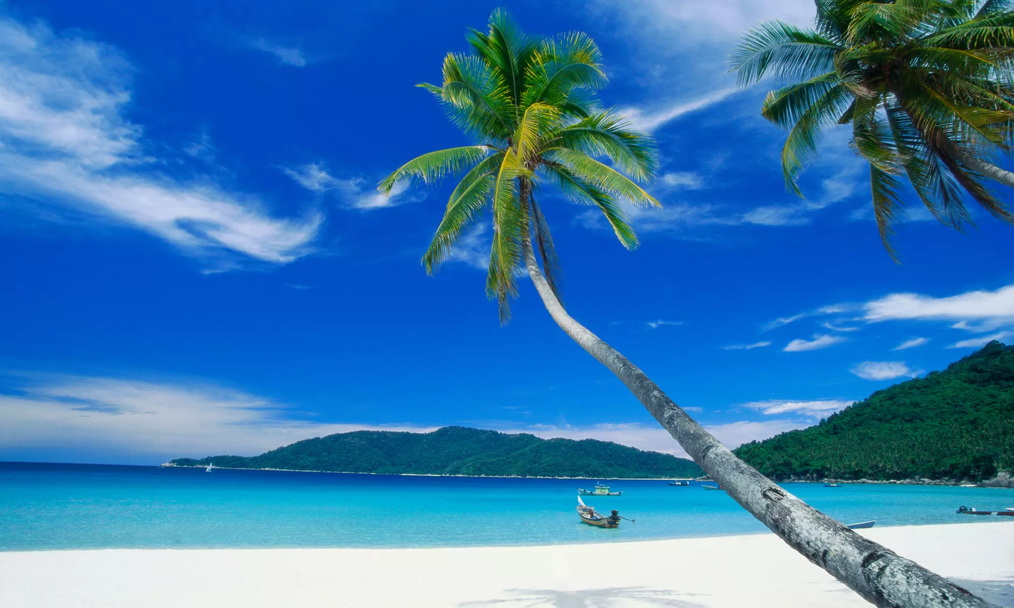 Malaysia: 12 Nächte mit Singapur, Dschungel-Trekking, Besuch der Affeninsel u.v.m inkl. Badeurlaub auf Langkawi - Primary Image