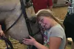 Embark on a One or Two-Day Summer Horseback Evening Mini Camp at Oak Haven Performance Horses (Up to 45% Off) - Second Medium