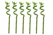 6 ou 12 plantes de bambou porte-bonheur d'une hauteur de 40-50 cm - Image 5