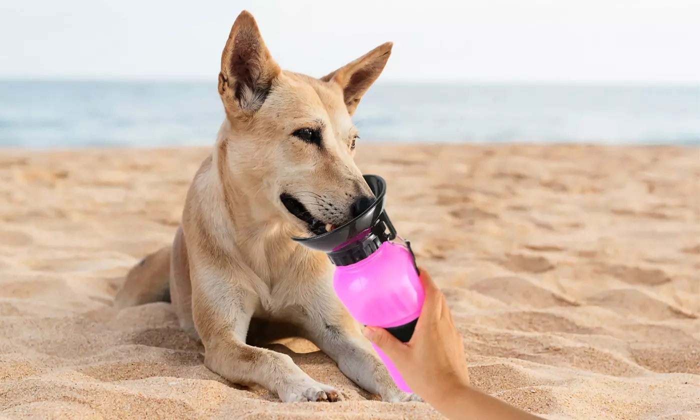 iMounTEK 500ml Pet Travel Water Bottle with Dispenser Cup