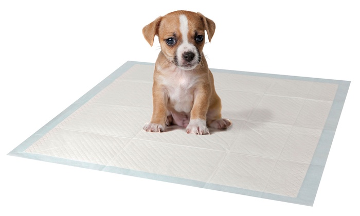 105-Pack of Puppy Training Pads | Groupon Goods