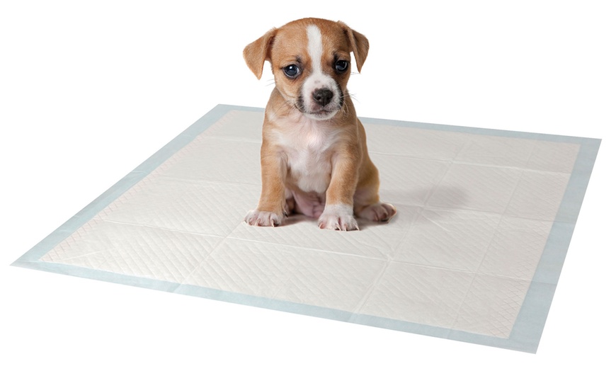 Image 1: 105-Pack of Puppy Training Pads