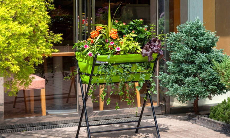 Image 1: VegTrug Planter and Seeds