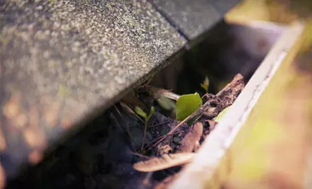 Gutter Cleaning and Roof-Health Inspection from Oceanside Roofing and Siding (Up to 57% Off). Two Options Available.  - Primary Image