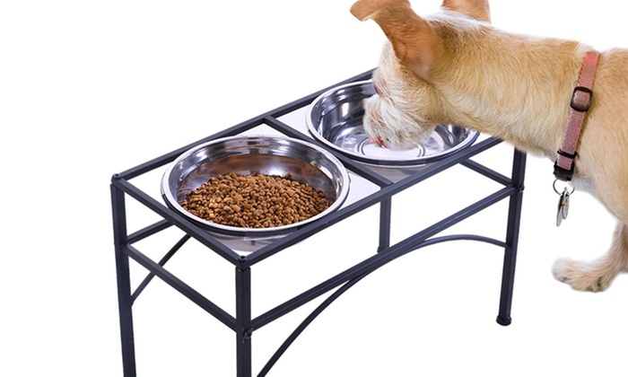 Stainless Steel Raised Pet Bowl Groupon