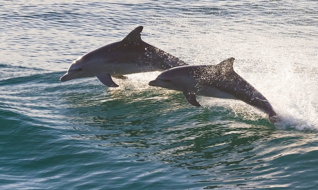 What to expect media