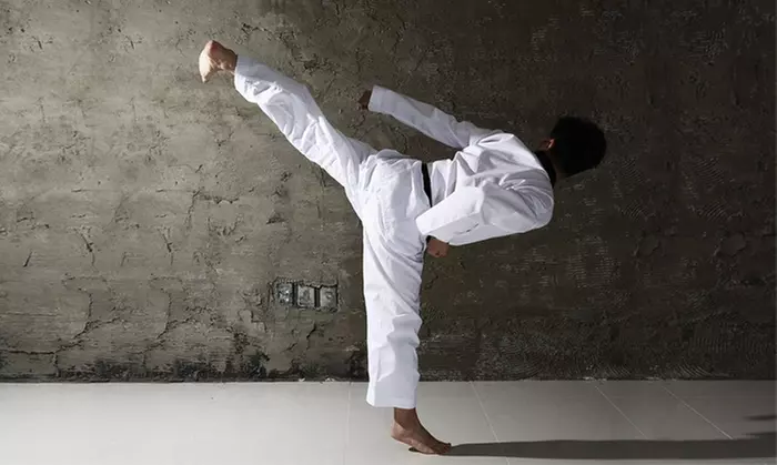 Lifetime Membership for Taekwondo Classes for One or Two at Land of People (Up to 31% Off) - Primary Image