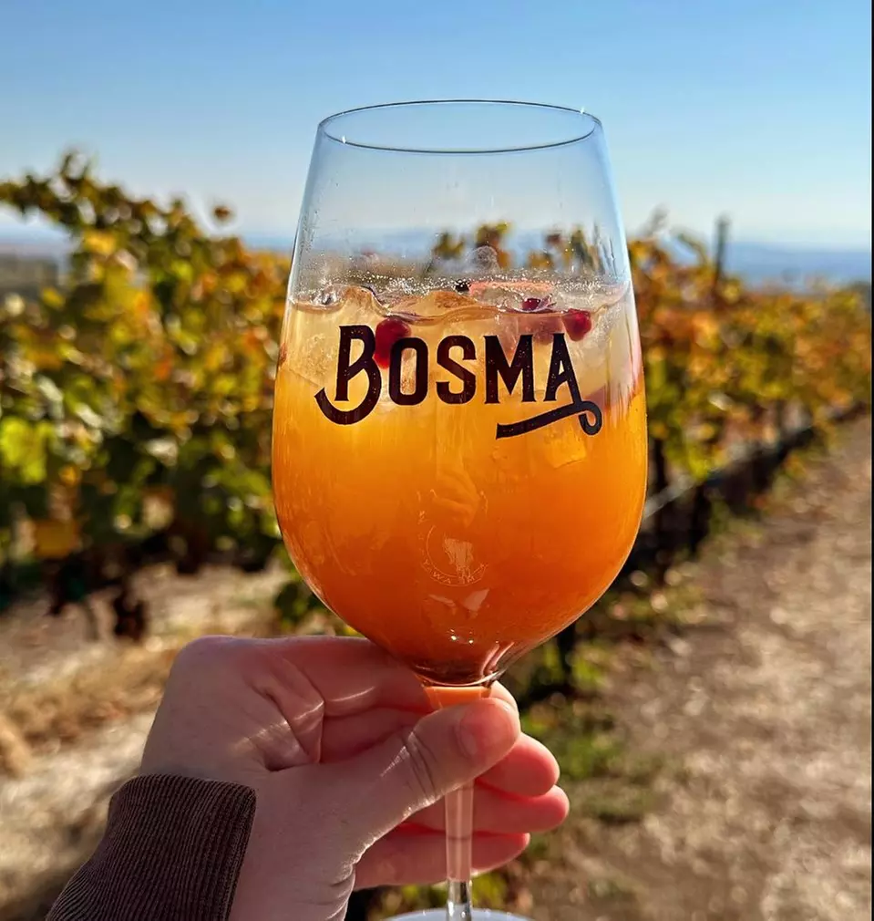 Explore Wine Tasting for 1, 2 or 4 in a Scenic Vineyard