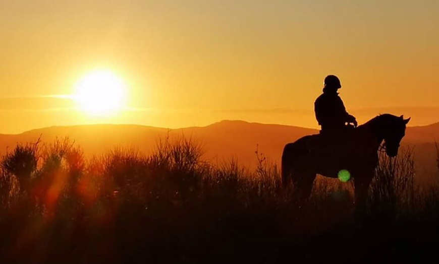 Image 2: Día de aventuras: ruta a caballo para hasta 4 personas de 60 minutos