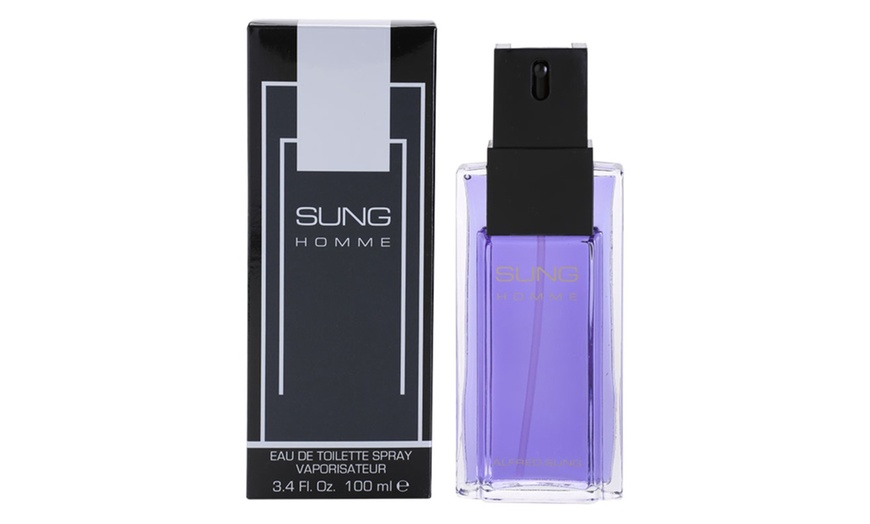 Image 2: Alfred Sung Homme EDT Cologne Spray for Men 3.4 Fl. Oz.