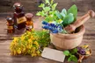 Certified Master Herbalist Online Course - Second Medium