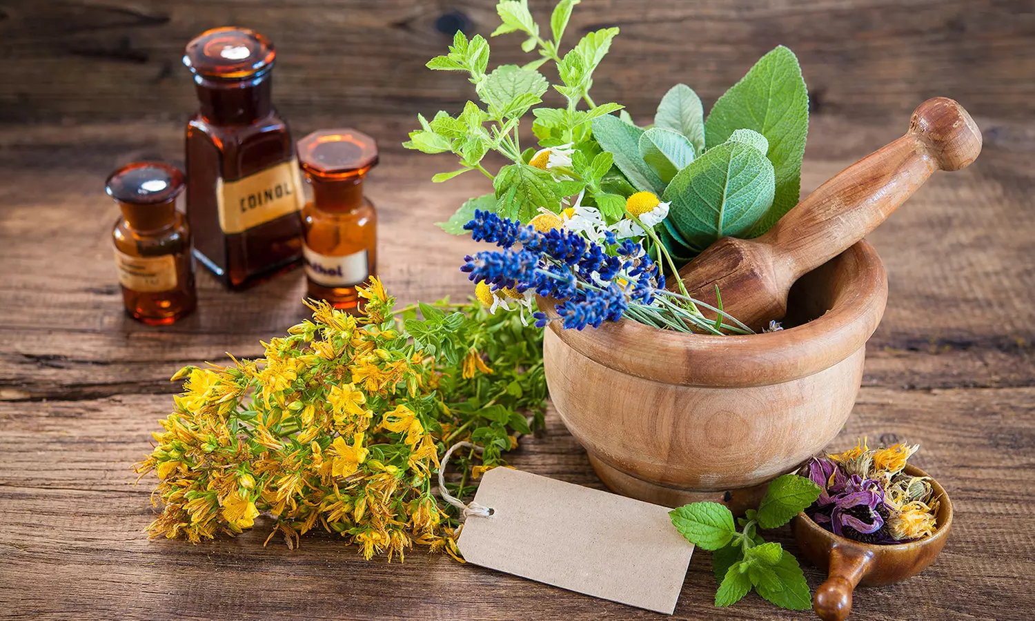 Certified Master Herbalist Online Course