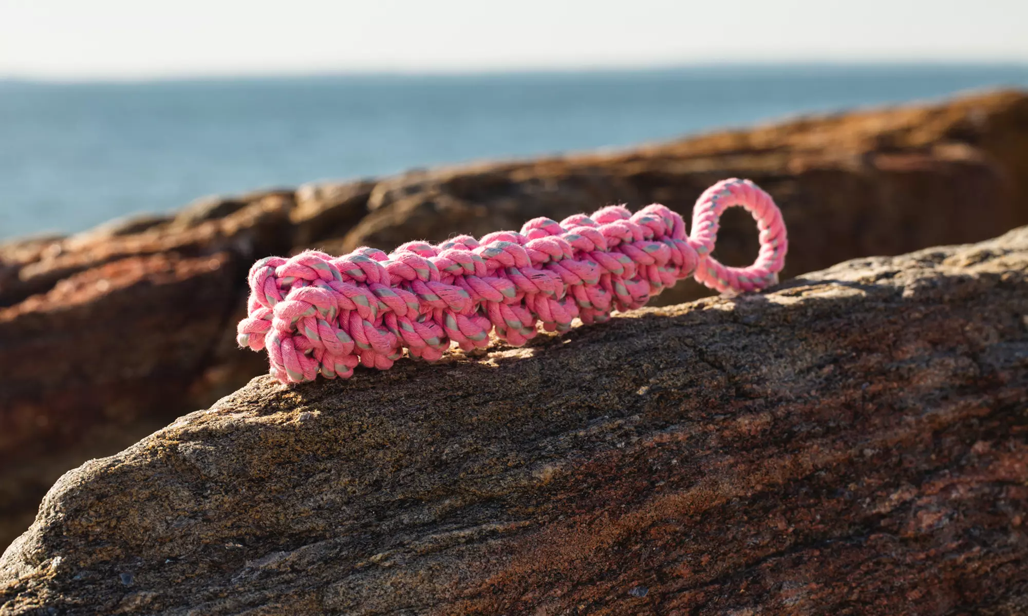 Heavy-Duty Dog Toy Rope With Loop By Chompstick - Second Medium