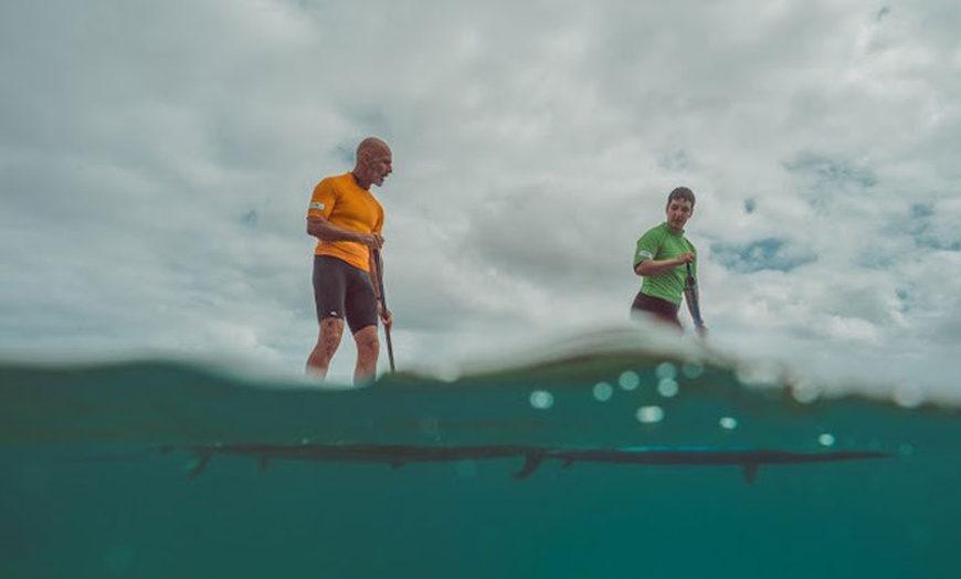 Image 2: Clase de paddlesurf de 90 minutos para 1 o 2 personas