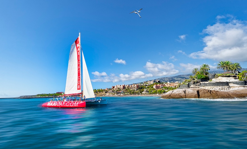 Image 2: ¡Descubre la aventura! Excursión en catamarán con comida y bebida